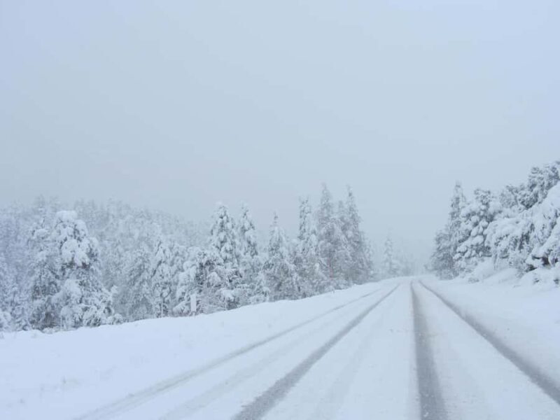 Las Vegas: Ultimate Snowplay Adventure at Mount Charleston - Key Points  