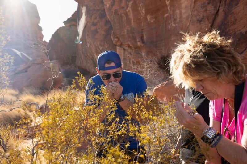 Las Vegas: Valley of Fire and Red Rock Canyon Day Trip - Introducing the Valley of Fire and Red Rock Canyon Day Trip: A True Nevada Adventure