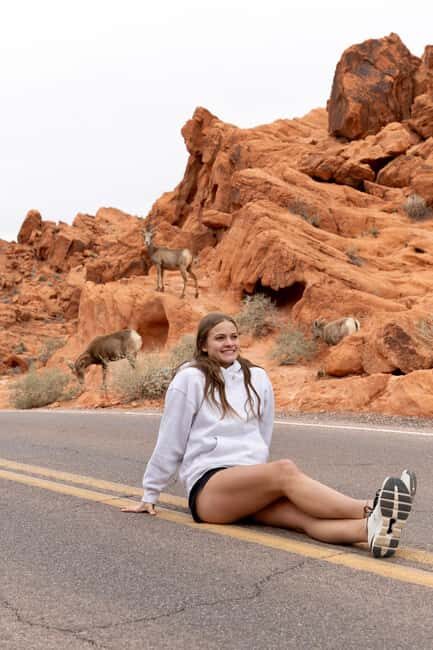 Las Vegas: Valley of Fire and Red Rock Canyon Day Trip - Why This Tour Provides Not Just Sightseeing, but a Genuine Experience