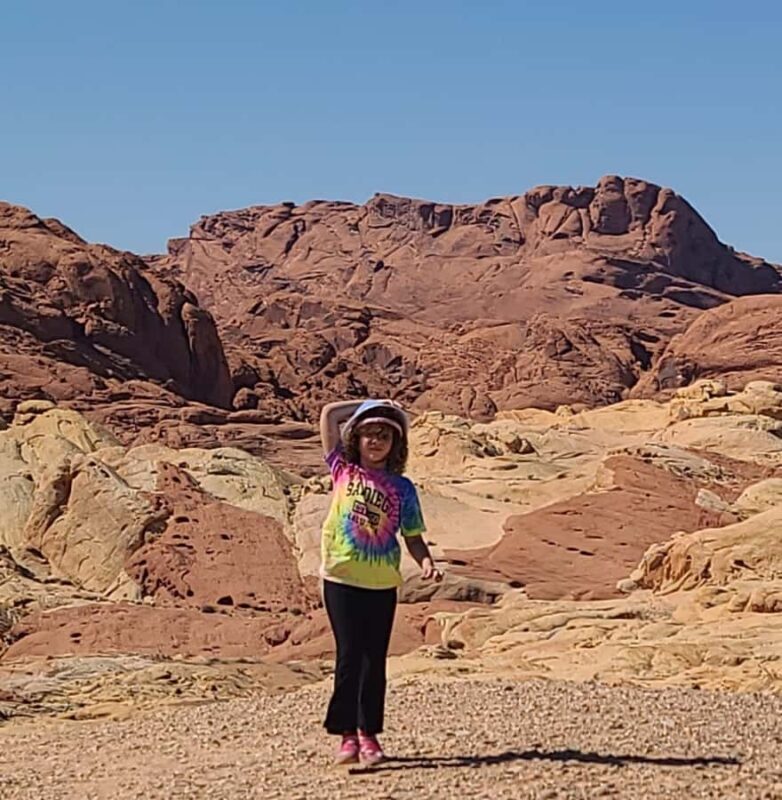 Las Vegas: Valley of Fire and Red Rock Canyon Tour - The Itinerary in Detail
