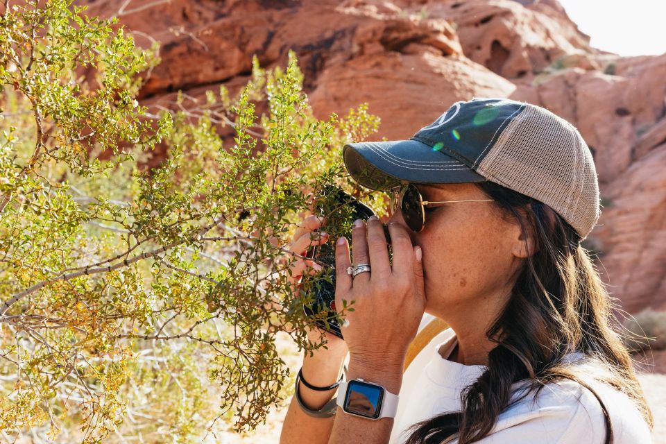 Las Vegas: Valley of Fire Guided Hike With Drinks and Snacks - Exploring Natural Wonders