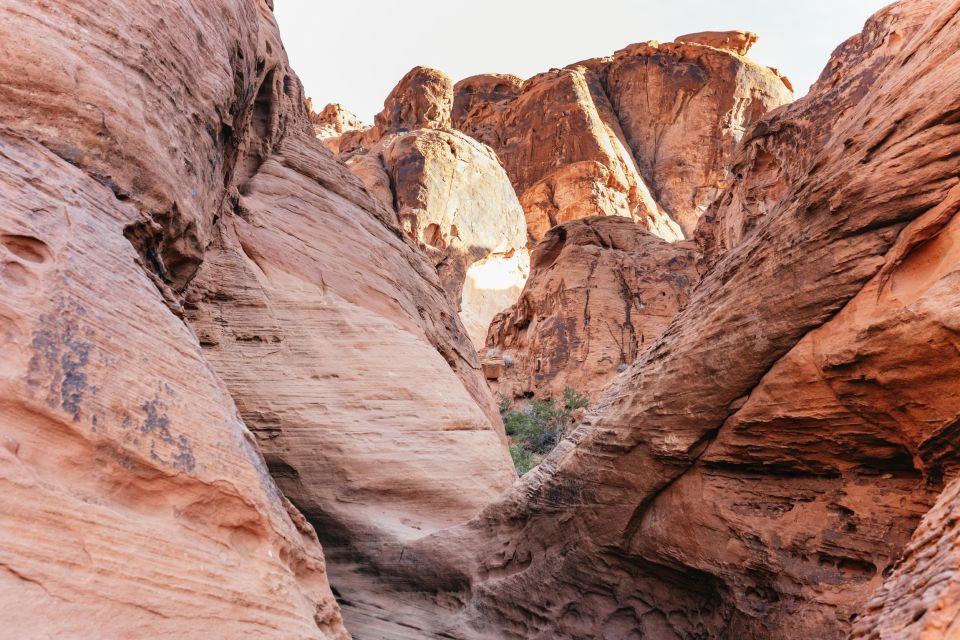 Las Vegas: Valley of Fire Guided Hike With Drinks and Snacks - Frequently Asked Questions