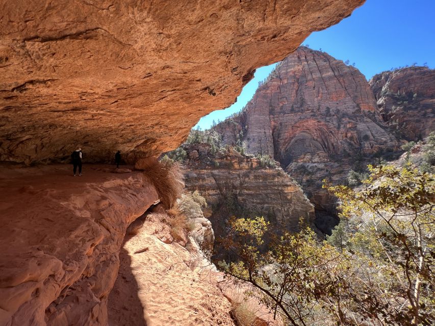 Las Vegas: VIP Guided Photography & Hiking Tour of Zion NP - Key Points