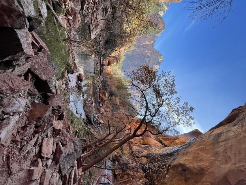 Las Vegas: VIP Guided Photography & Hiking Tour of Zion NP - Photographic Highlights of the Tour