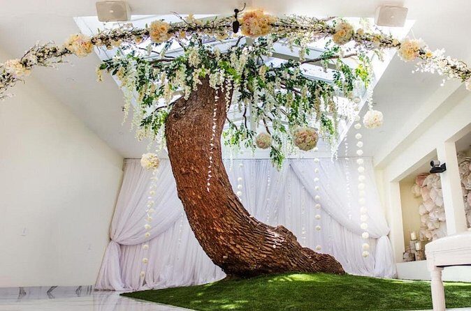 Las Vegas Wedding Photo Private Tour - Detailed Breakdown of the Experience