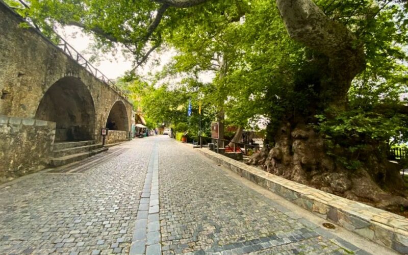 Lasithi Plateau, the Legendary Zeus Cave & Olive Oil Farm - Itinerary Overview