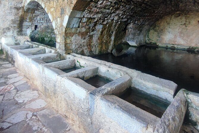 Lasithi plateau,wine and olive oil tasting,Greek Mythology park - Stop 3: Krasi Village and the 2000-Year-Old Plane Tree