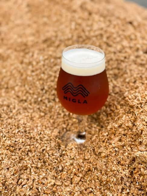Latvian Brewery Visit & 5 Beer tasting - What You Can Expect from the Latvian Brewery & Beer Tasting Tour