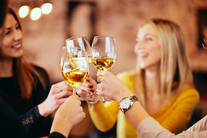 Latvian Wine Adventure: Discovering the Best of Baltic Wines - Accessibility and Policies