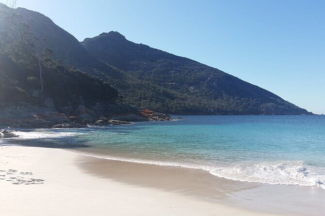 Launceston: Freycinet & Wineglass Bay Explorer Day Trip - Practical Details