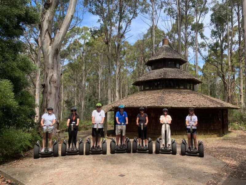 Launceston: Hollybank Forest Guided Segway Tour with Photos - The Guide and Group Size