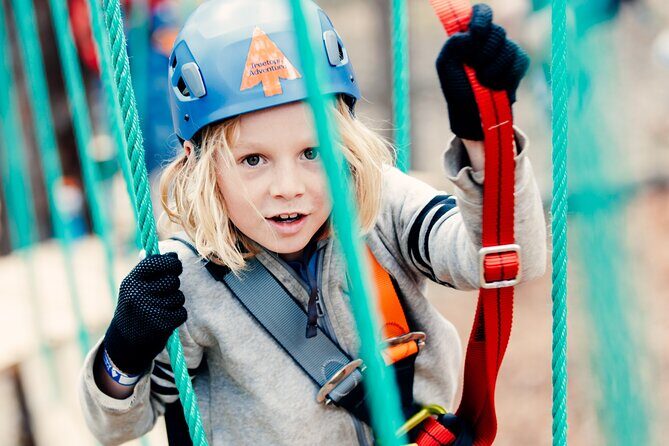 Launceston Hollybank Junior Tree Ropes Course - What to Expect from the Hollybank Junior Tree Ropes Course