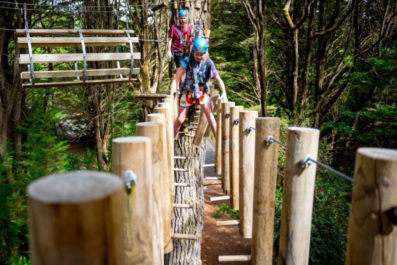 Launceston: Hollybank Tree Ropes Course - Who Should Consider This Tour?