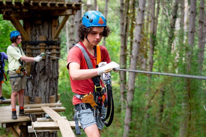 Launceston Hollybank Tree Ropes Experience - The Practicalities: What to Expect