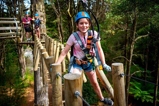 Launceston Hollybank Tree Ropes Experience - Who Should Consider This Adventure?