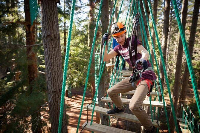 Launceston Hollybank Tree Ropes Experience - In-Depth Look at the Course