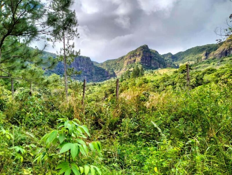 Lautoka: Abaca Waterfall Hike and Swim Day Trip - Key Points