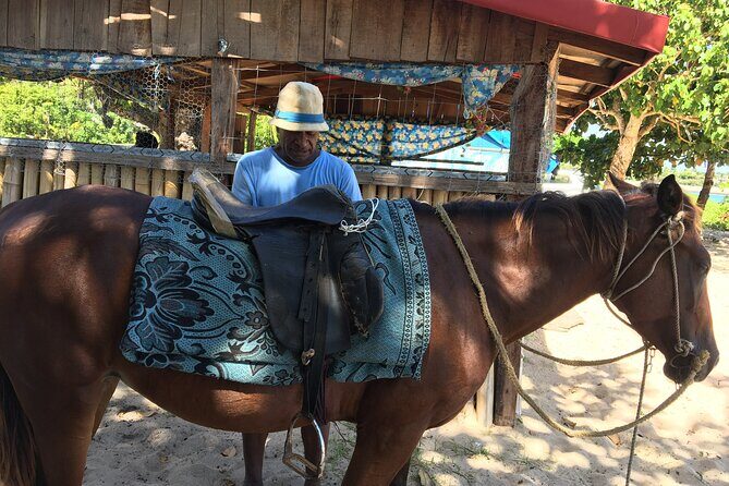 Lautoka Shore Excursions to Natadola Beach Round Trip - An In-depth Look at the Natadola Beach Excursion