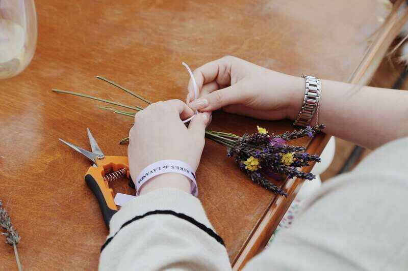 Lavender Experience Valle de Guadalupe - Guided Field Tour - The Sum Up