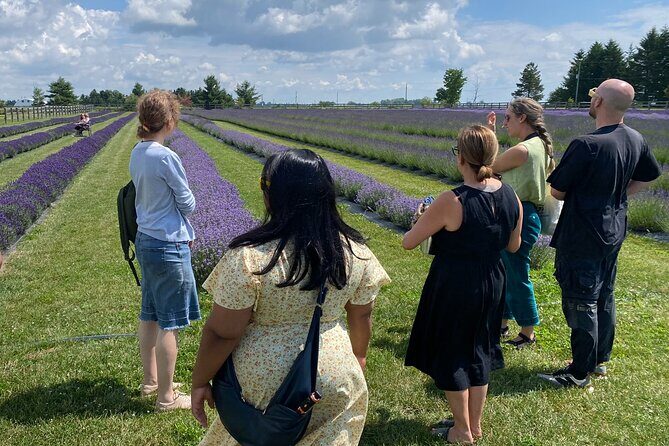 Lavender Farm Experience with Local Lunch, Day Trip from Toronto - Key Points
