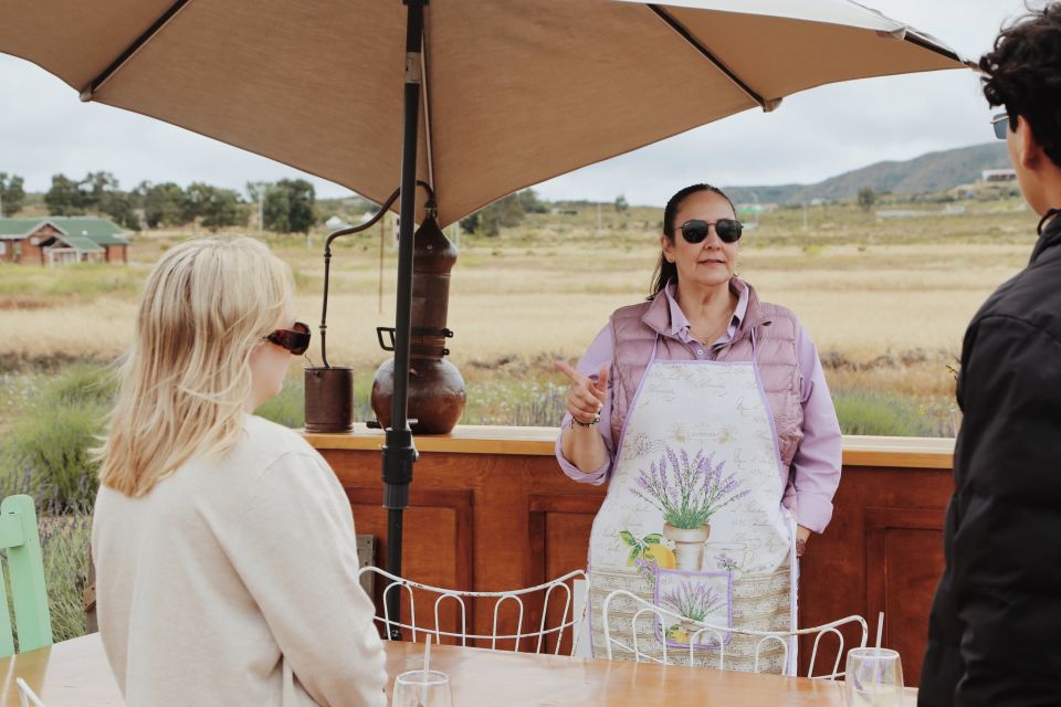 Lavender Field Guided Tour - Lavender Field Tour