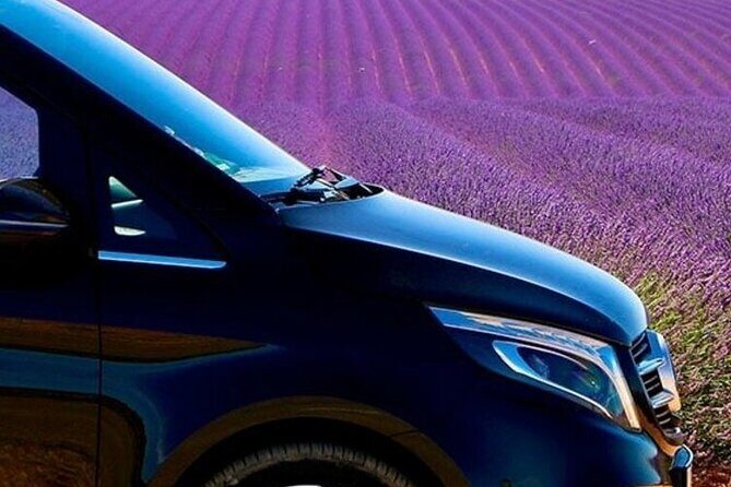 Lavender Fields Full Day Private Tour From Marseille - The Sum Up