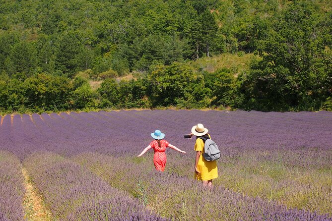 Lavender Full-day Tour in Sault From AIX-EN-PROVENCE - Good To Know