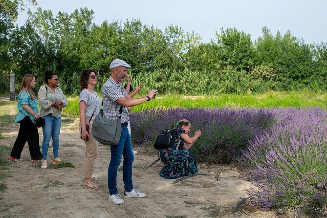 Lavender Harvesting and Distillation Workshop in Bellegarde - A Detailed Look at the Lavender Harvesting and Distillation Workshop