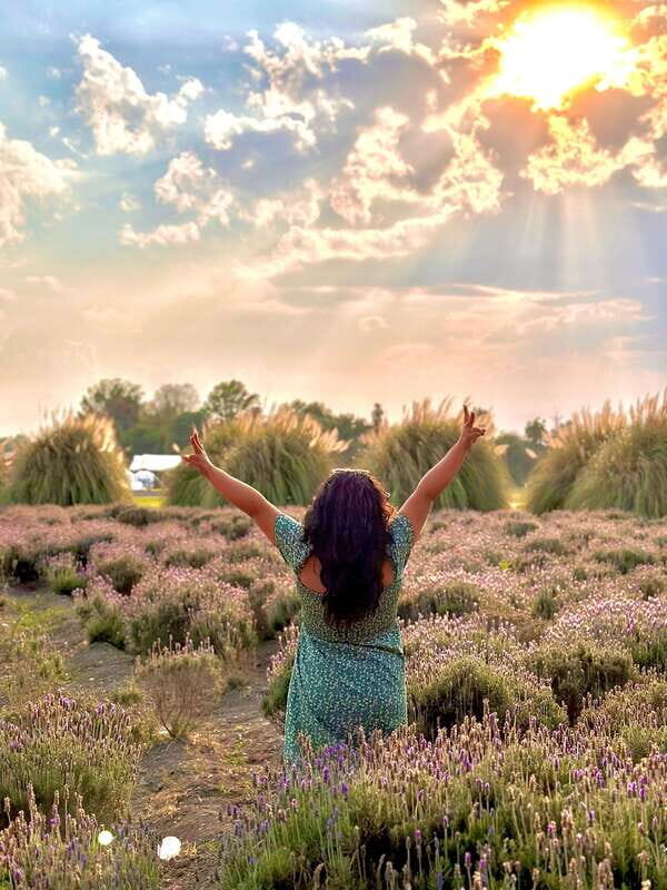 Lavender Ranch, Chautla and Val`Quirico. - A Deep Dive into the Experience