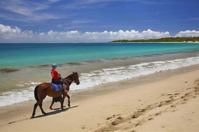 Lawai Pottery Village & Natadola Beach Kava Ceremony & Meke - The Beach Experience: A Closer Look