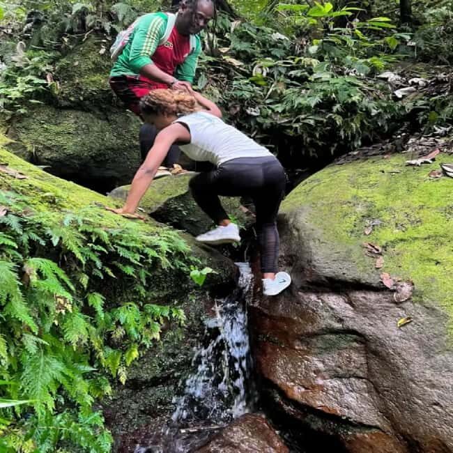 Lawyer Stephen Hike with Waterfall and Cave Hike - Key Points