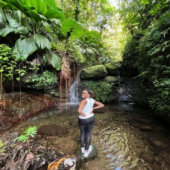 Lawyer Stephen Hike with Waterfall and Cave Hike - Overview and What to Expect