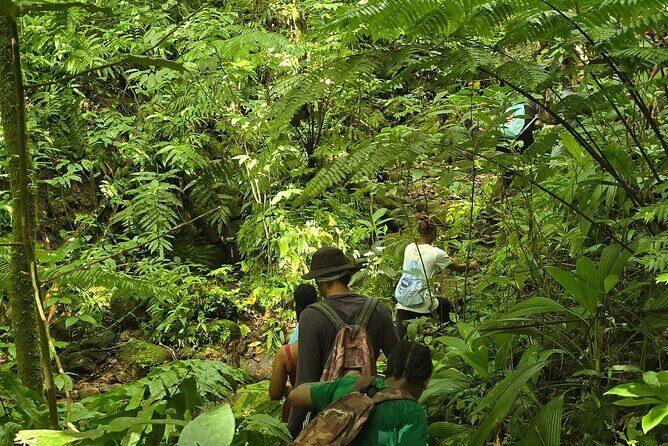 Lawyer Stephens Cave & Waterfalls Hike - An In-Depth Look at the Lawyer Stephens Cave & Waterfalls Hike  
