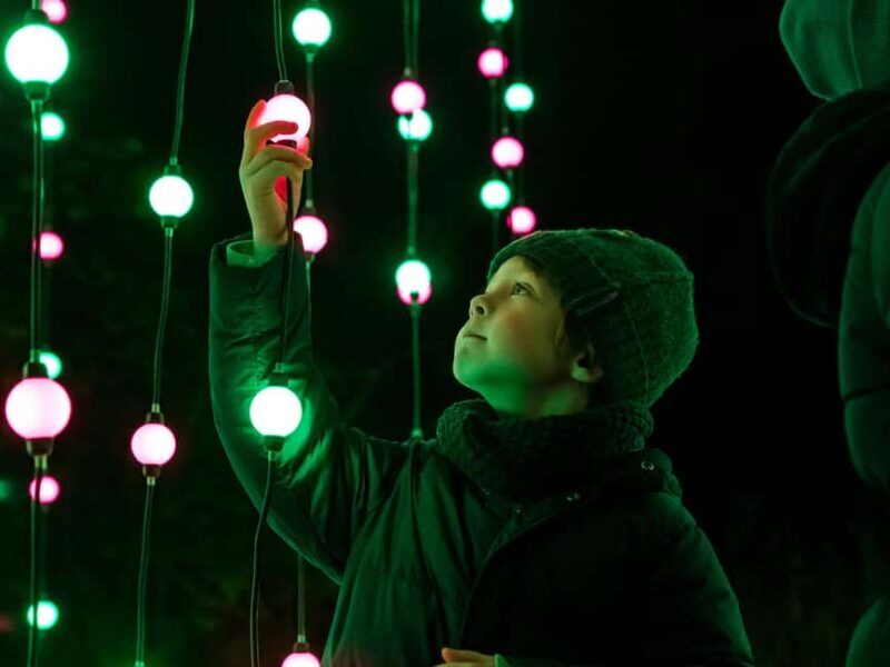 Laxenburg Palace Gardens: ILLUMINA Austria's biggest light garden - ticket - Authentic Traveler Insights