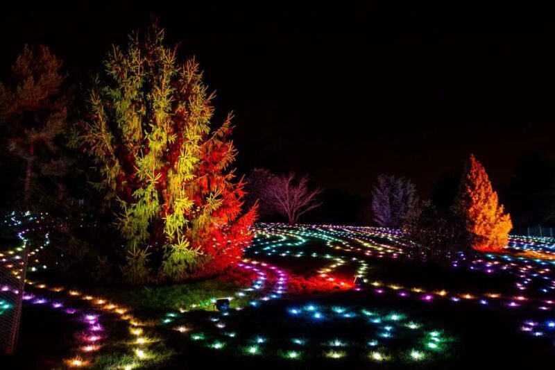 Laxenburg Palace Gardens: ILLUMINA Austria's biggest light garden - ticket - FAQ
