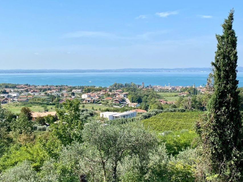 Lazise: Countryside E-Bike Tour With Wine Tasting - Key Points