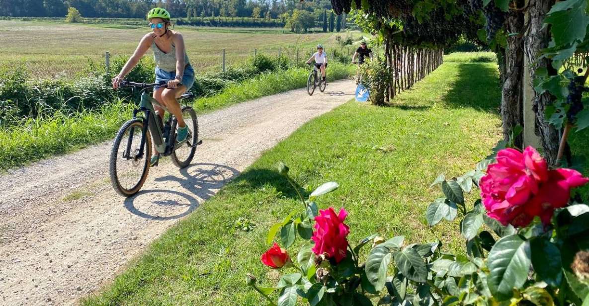 Lazise: Countryside E-Bike Tour With Wine Tasting - Route and Experience
