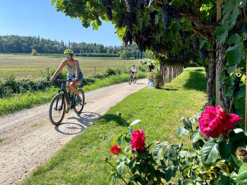 Lazise: Countryside E-Bike Tour With Wine Tasting - What to Expect