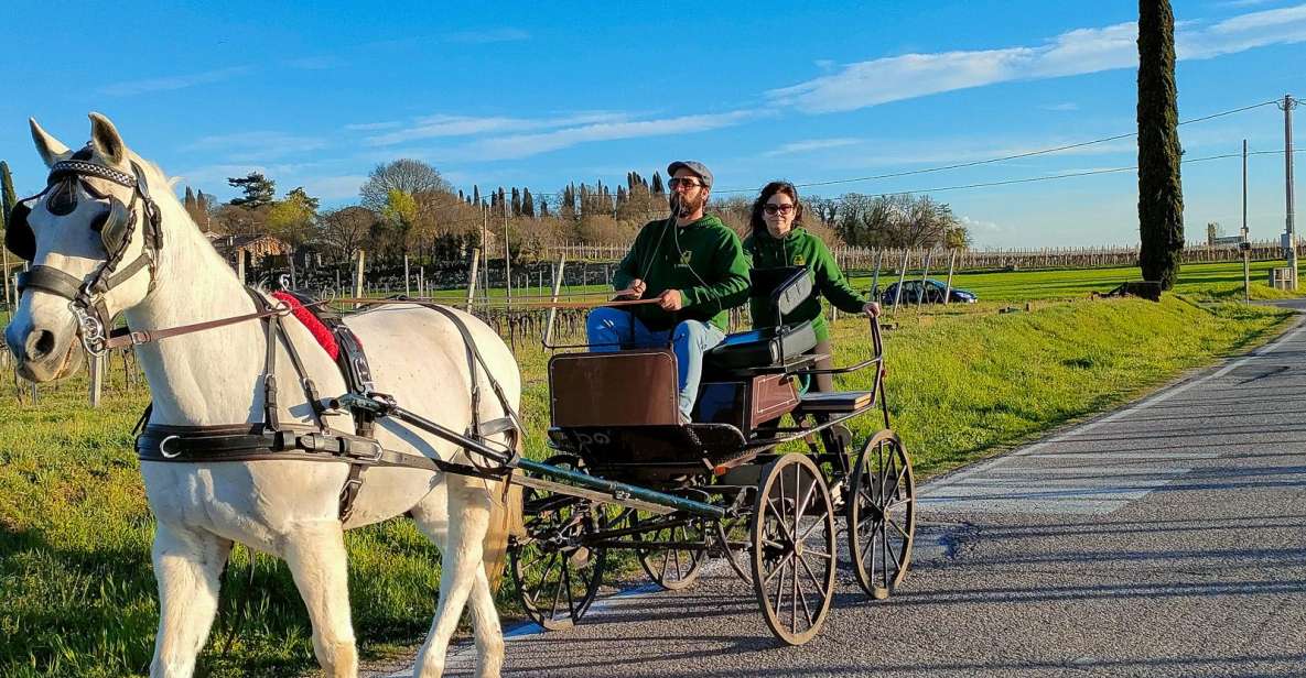 Lazise: Horse Carriage Tour With Tasting of Local Products - Experience Highlights