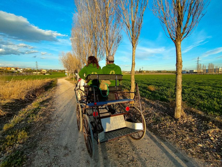 Lazise: Horse Carriage Tour With Tasting of Local Products - Local Product Tastings