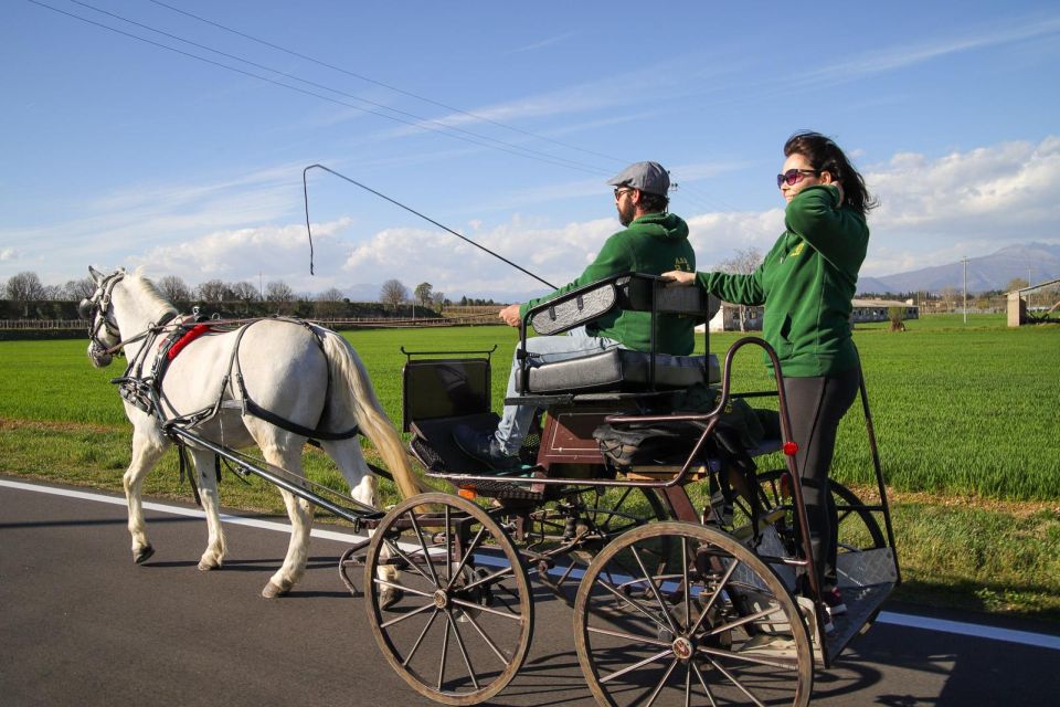 Lazise: Horse Carriage Tour With Tasting of Local Products - Meeting Point Information