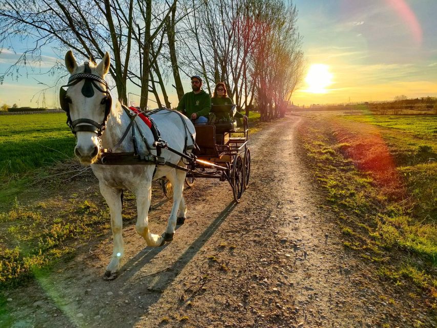 Lazise: Horse Carriage Tour With Tasting of Local Products - Languages and Inclusions