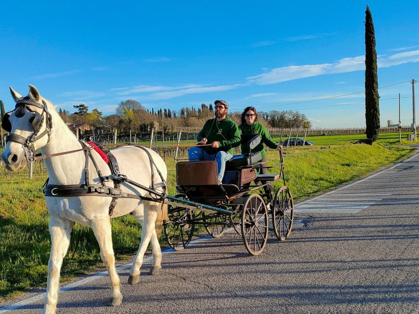 Lazise: Horse Carriage Tour With Tasting of Local Products - Important Restrictions and Notes