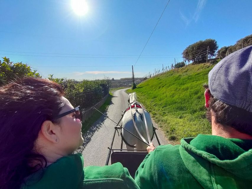Lazise: Horse Carriage Tour With Tasting of Local Products - Frequently Asked Questions