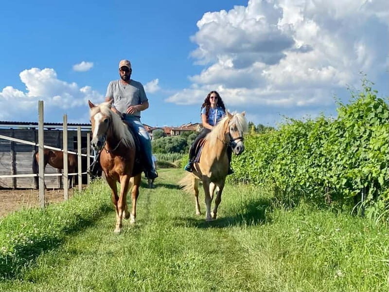 Lazise: Horseback Riding and Farm Picnic local food - Introduction