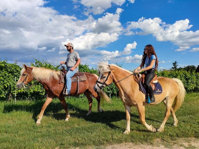 Lazise: Horseback Riding and Farm Picnic local food - Key Points
