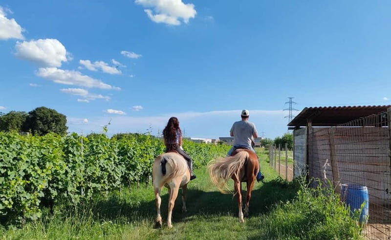 Lazise: Horseback Riding and Farm Picnic local food - The Itinerary