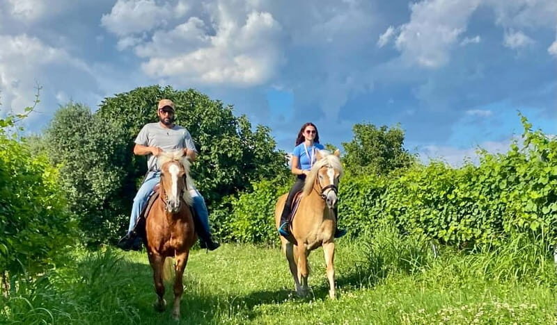 Lazise: Horseback Riding and Farm Picnic local food - What to Expect During the Horseback Ride