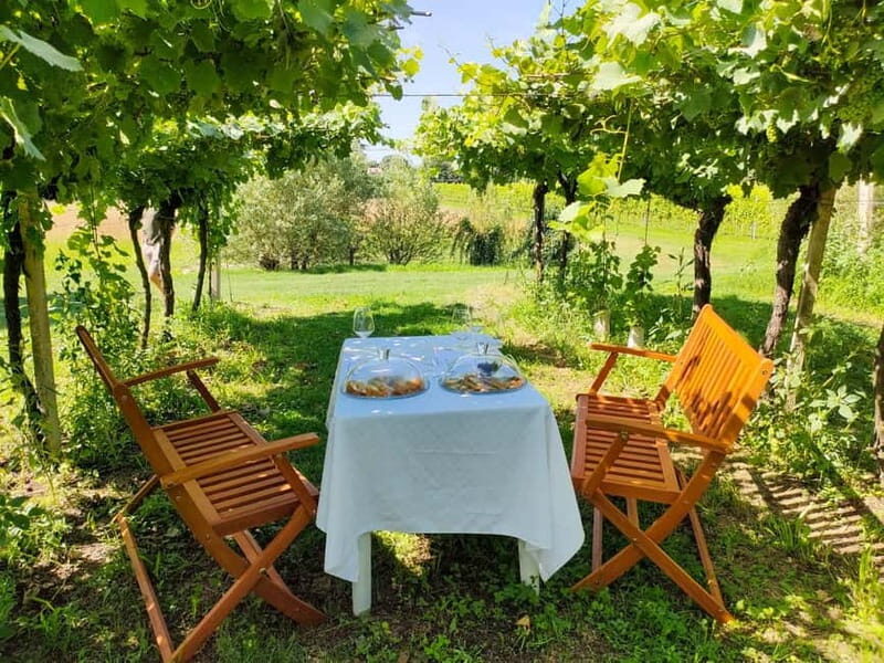 Lazise: Horseback Riding and Farm Picnic local food - Who Should Consider This Tour?