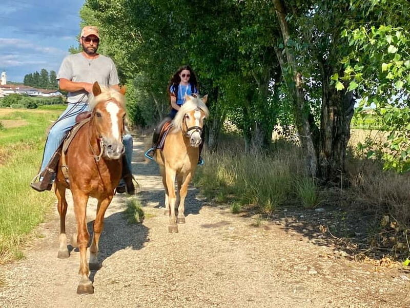 Lazise: Horseback Riding and Farm Picnic local food - The Sum Up